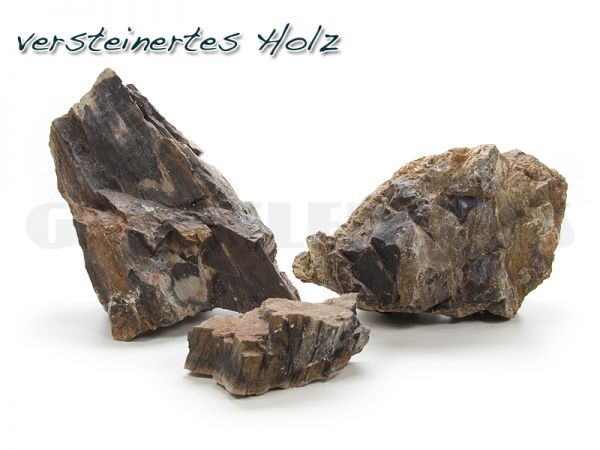 Versteinertes Holz, 1 kg