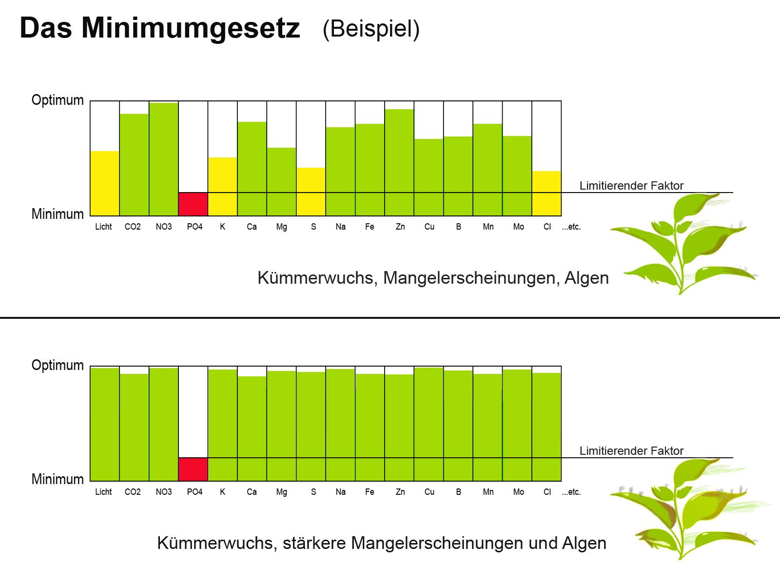 www.garnelenhaus.de