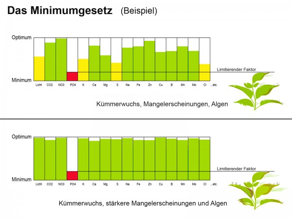 Liebigsches Minimumgesetz
