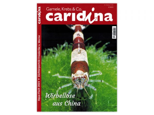 caridina - Garnelen, Krebse & Co :: Wirbellosen-Magazin, Dähne-Verlag, Ausgabe 2/2023