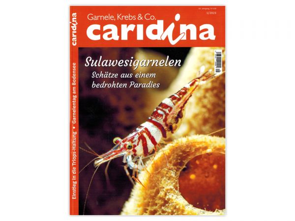 caridina - Garnelen, Krebse & Co :: Wirbellosen-Magazin, Dähne-Verlag, Ausgabe 1/2023