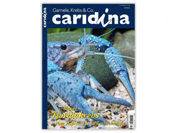 caridina - Garnelen, Krebse & Co :: Wirbellosen-Magazin, Dähne-Verlag, Ausgabe 4/2021