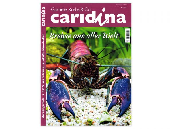 caridina - Garnelen, Krebse & Co :: Wirbellosen-Magazin, Dähne-Verlag, Ausgabe 3/2022