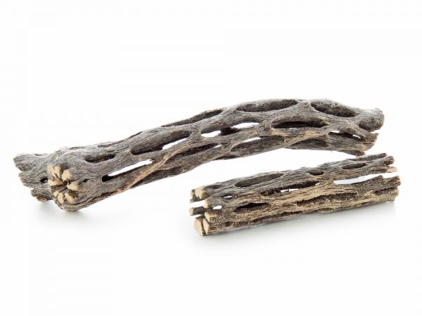 Vukaholz - Cholla Wood im Aquarium