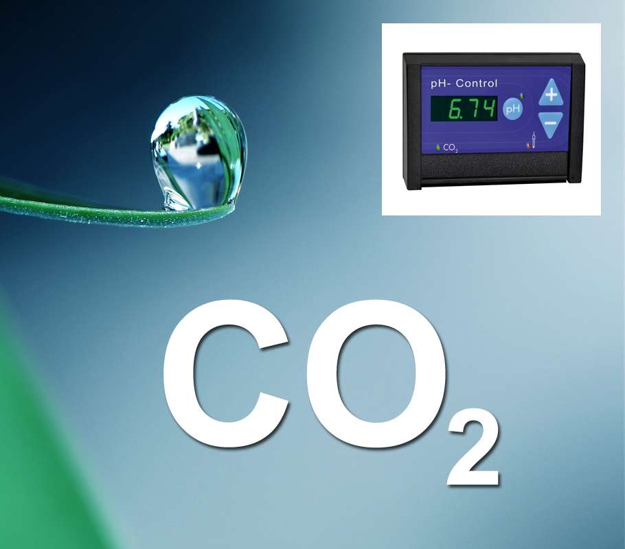 35+ Wie Bekomme Ich Co2 In Den Teich, Wie kriege ich mehr davon in