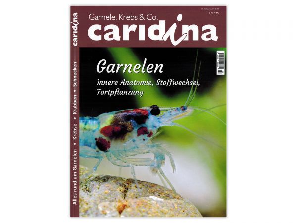 caridina - Garnelen, Krebse & Co :: Wirbellosen-Magazin, Dähne-Verlag, Ausgabe 2/2025