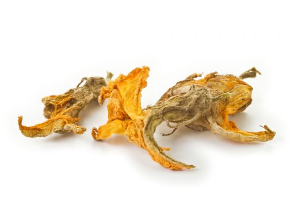 Hokkaido Kürbisblüten Garnelenfutter