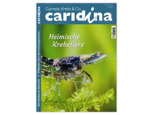 caridina - Garnelen, Krebse & Co :: Wirbellosen-Magazin, Dähne-Verlag, Ausgabe 4/2024