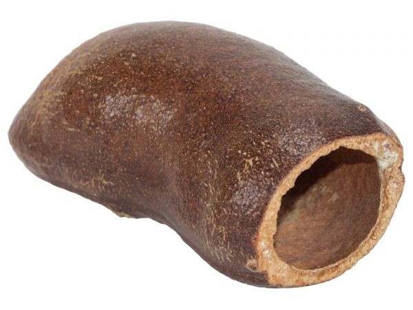 Courbarilschote