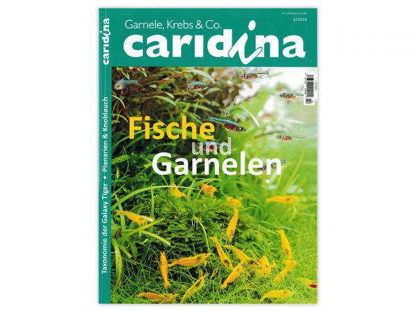 caridina - Garnelen, Krebse & Co :: Wirbellosen-Magazin, Dähne-Verlag, Ausgabe 2/2024