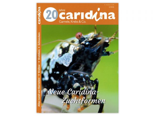 caridina - Garnelen, Krebse & Co :: Wirbellosen-Magazin, Dähne-Verlag, Ausgabe 2/2026