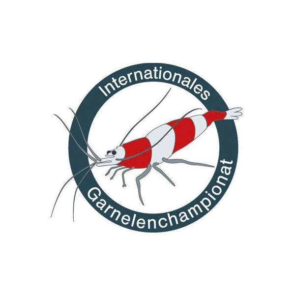 Das Internationale Garnelenchampionat Hannover (IGCH)