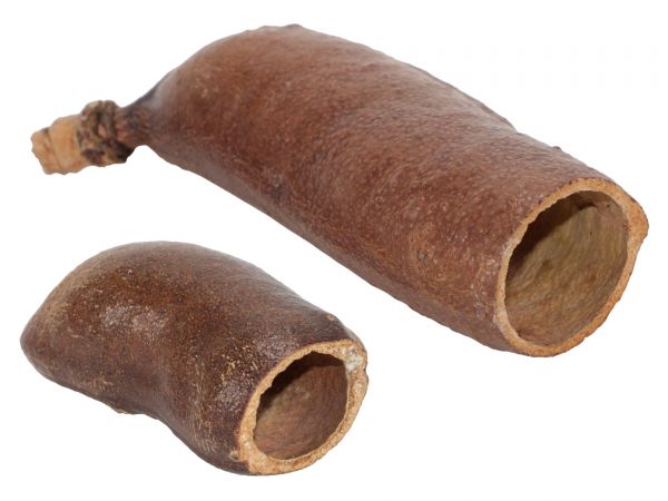 Courbarilschote