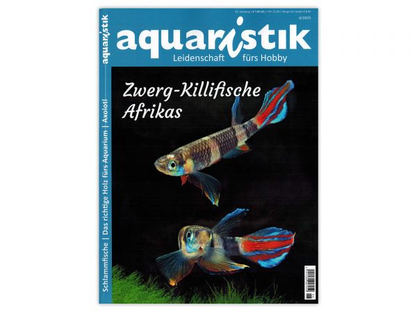 aquaristik - Leidenschaft fürs Hobby, Ausgabe 6/2025