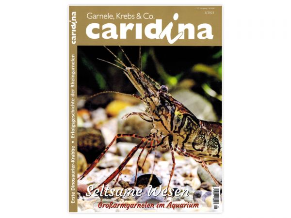 caridina - Garnelen, Krebse & Co :: Wirbellosen-Magazin, Dähne-Verlag, Ausgabe 1/2022