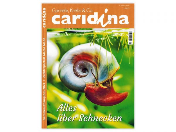 caridina - Garnelen, Krebse & Co :: Wirbellosen-Magazin, Dähne-Verlag, Ausgabe 1/2025