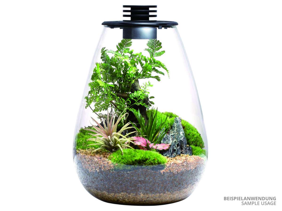 Bioloark Bio Bottle SD - Wabi-Kusa | GARNELENHAUS
