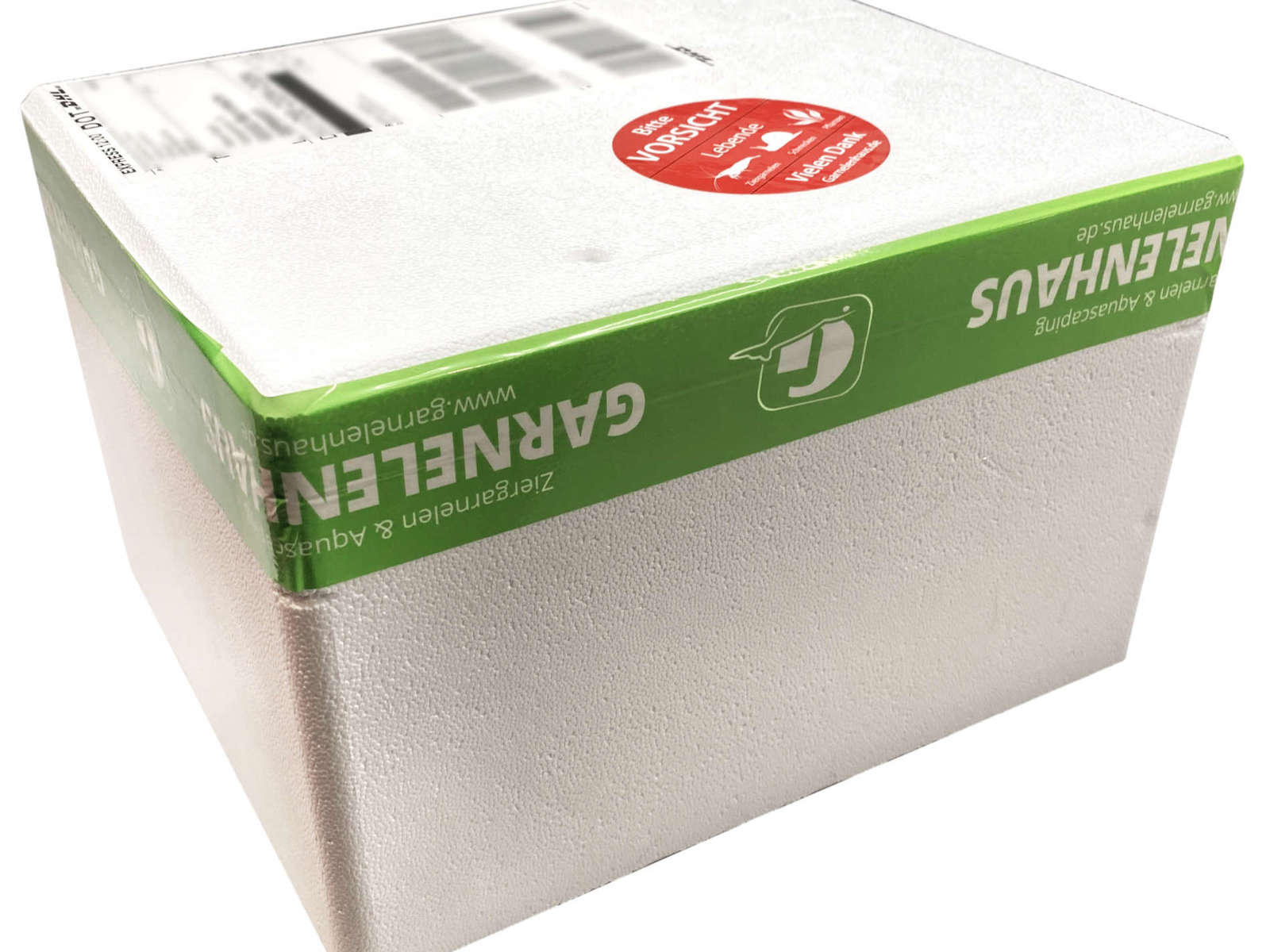 Styroporbox mit Umkartonage ( Versandbox )