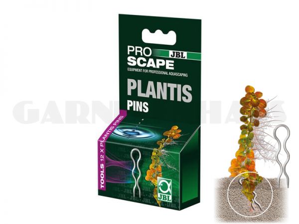 ProScape Plantis, Pflanzennadeln (12 Stk.)