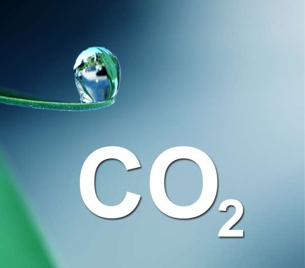 CO2 als Pflanzennährstoff