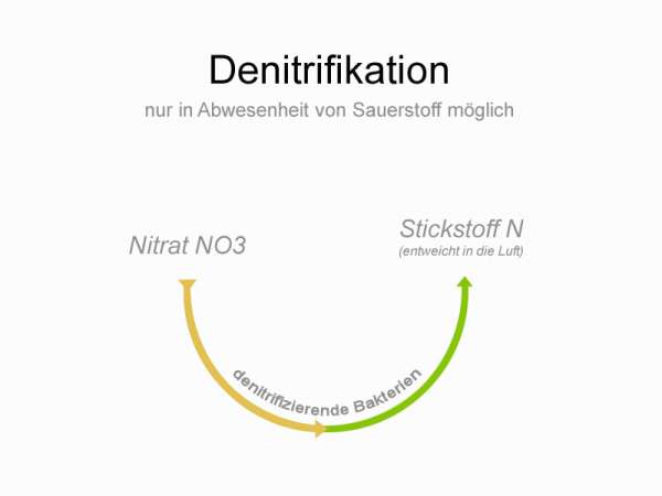 Denitrifikation