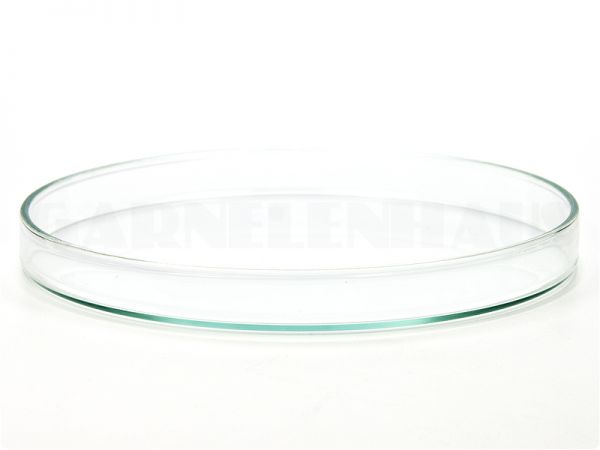 Futterschale Glas, 120/13 mm