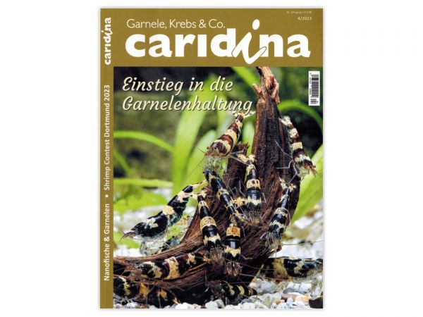 caridina - Garnelen, Krebse & Co :: Wirbellosen-Magazin, Dähne-Verlag, Ausgabe 4/2023