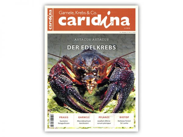 caridina, Heft 1/2016