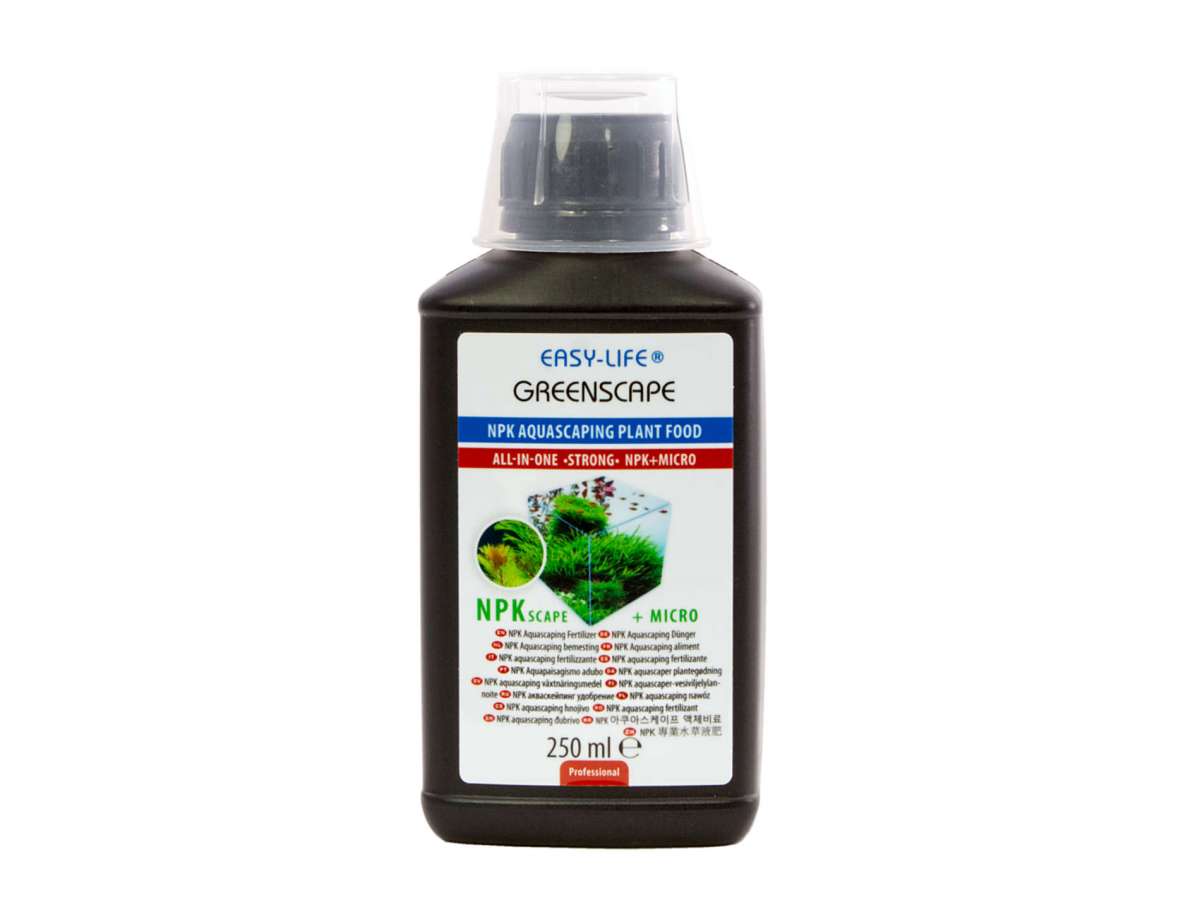 aloe flow plant Gasteria 'Flow'