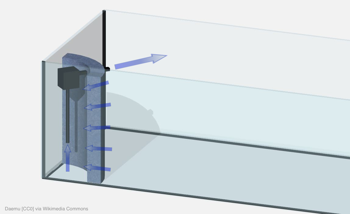 https://www.garnelenhaus.de/media/image/a3/81/29/Eck_hmf_3d_Hamburger_Mattenfilter.jpg