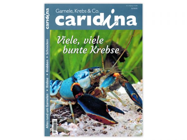 caridina - Garnelen, Krebse & Co :: Wirbellosen-Magazin, Dähne-Verlag, Ausgabe 3/2025