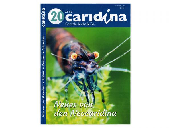 caridina - Garnelen, Krebse & Co :: Wirbellosen-Magazin, Dähne-Verlag, Ausgabe 1/2026