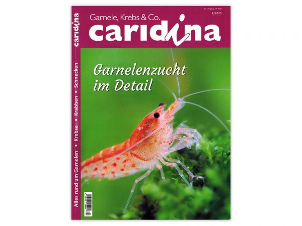 caridina - Garnelen, Krebse & Co :: Wirbellosen-Magazin, Dähne-Verlag, Ausgabe 4/2025