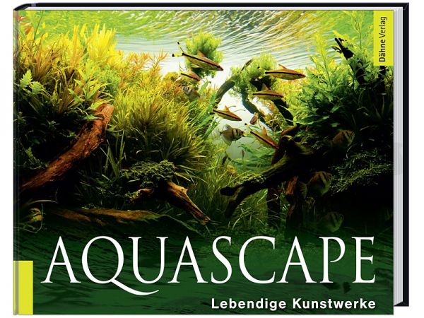 Aquascape
