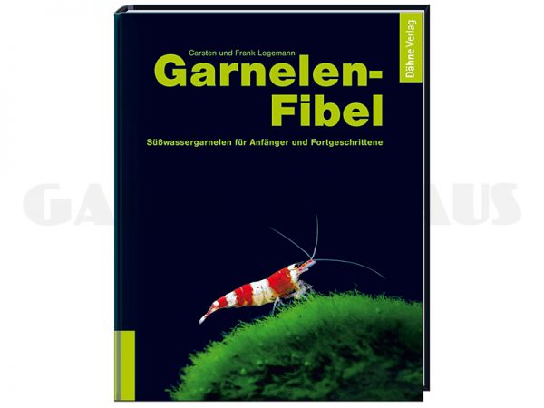 Garnelenfibel