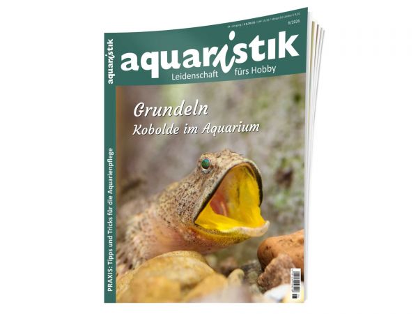 aquaristik - Leidenschaft fürs Hobby, Ausgabe 6/2026