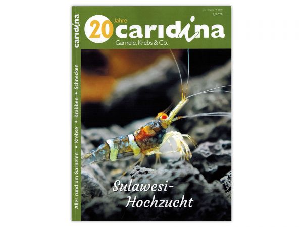 caridina - Garnelen, Krebse & Co :: Wirbellosen-Magazin, Dähne-Verlag, Ausgabe 3/2026