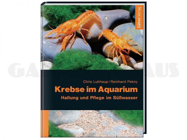 Krebse im Aquarium