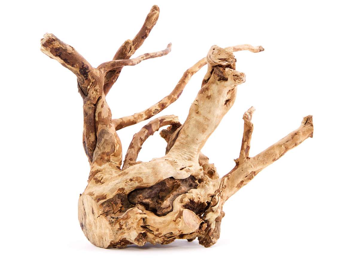 Aquarium-Wurzel Aus Naturholz – Dekoration Für Aquarien & Terrarien, Größe XS (15–20 Cm), Fördert Gesundes Ökosystem