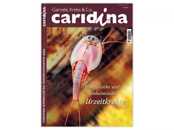 caridina - Garnelen, Krebse & Co :: Wirbellosen-Magazin, Dähne-Verlag, Ausgabe 1/2024