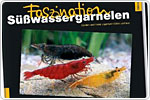 das dritte Buch